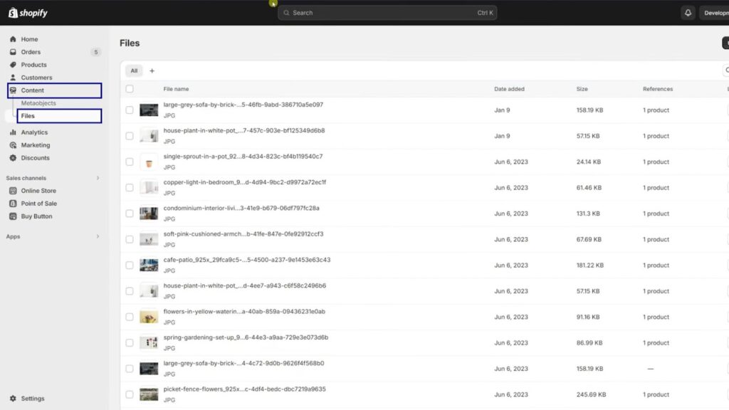Delete a File on Shopify Store